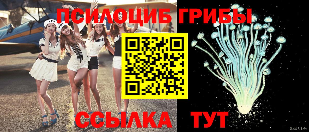 Галлюциногенные грибы GOLDEN TEACHER Семёнов